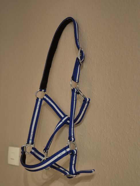 Halfter Neu, Privat, Halters, Blankenheim 