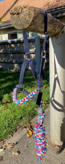 Halfter + Strick, Stephanie , Halters, Graz 