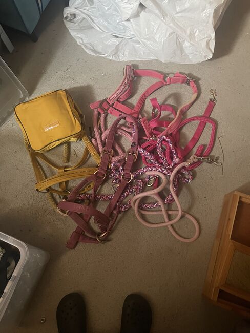 Halfter usw, Tanja, Halters, Spittal an der Drau 