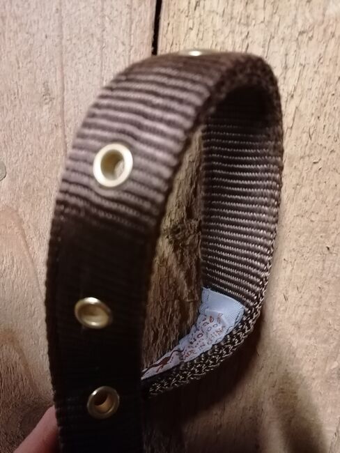 Hamilton Halfter Small hell braun Neu, Sunbeam Ranch! , Halters, Kaufbeuren 