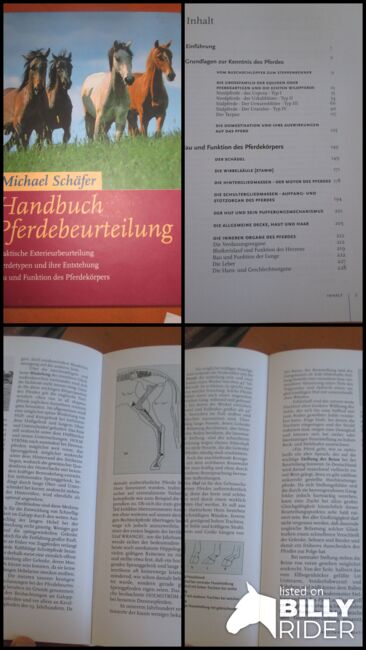 Handbuch Pferdebeurteilung Das Standardwerk Kosmos Verlag NEU Michael Schäfer 