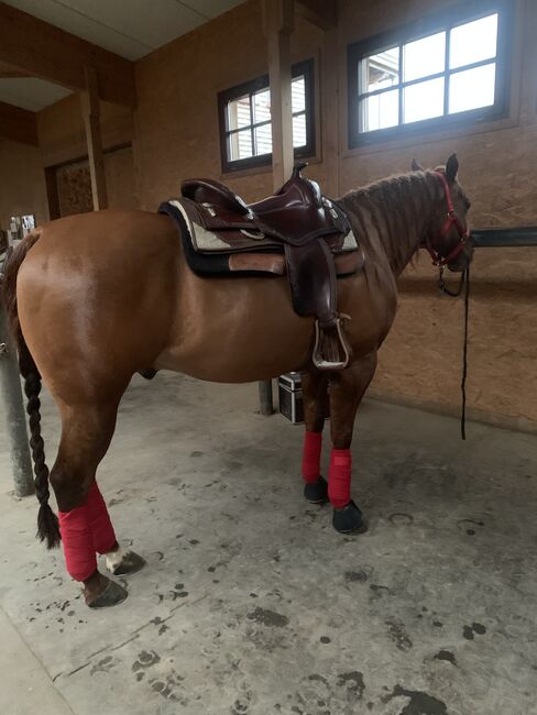 Handmade Allround Westernsattel, Bertys Sattlery De Allround, Karin Erlbacher, Saddle Accessories, A-6820 Nenzing Mittelberg