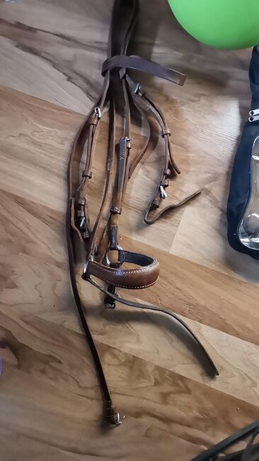 Hannoveranisches Reithalfter Trense, Corinna Dillmann , Bridles & Headstalls, Grevenbroich