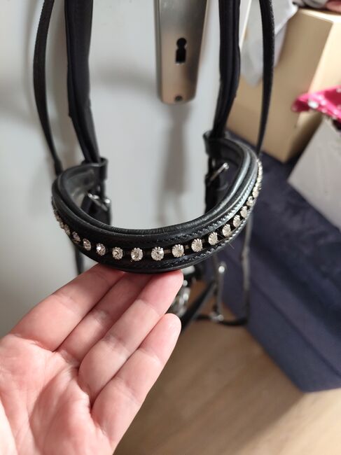 Hannoveranische Trense WB schwarz, Vanessa , Bridles & Headstalls, Schöna-Kolpien, Image 2