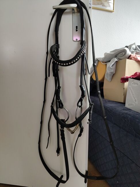 Hannoveranische Trense WB schwarz, Vanessa , Bridles & Headstalls, Schöna-Kolpien