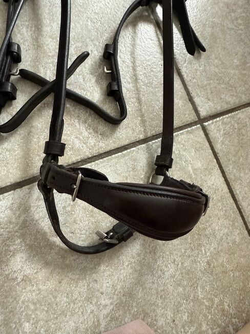 Hannoveranische Trense, Schockemöhle  Anatomische Trense Seattle, Lara Weber , Bridles & Headstalls, Andernach, Image 5