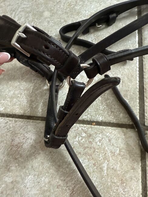 Hannoveranische Trense, Schockemöhle  Anatomische Trense Seattle, Lara Weber , Bridles & Headstalls, Andernach, Image 6