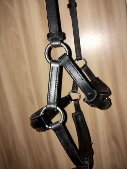 Hannoversche Trense, Ascot Hannoversche Trense, Veronika Krause, Bridles & Headstalls, Deggendorf, Image 2