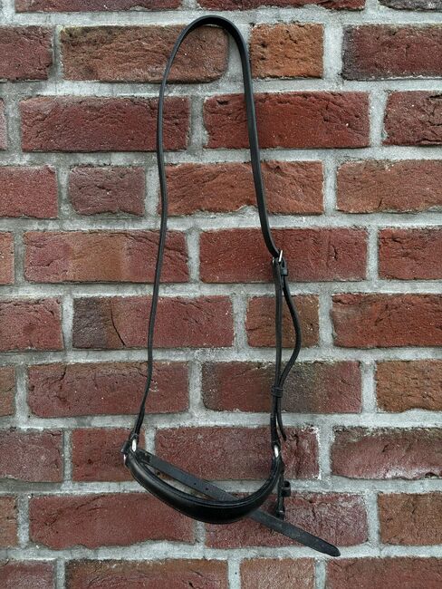 Hannoversches Reithalfter, JH , Nosebands, Schweindorf, Image 2