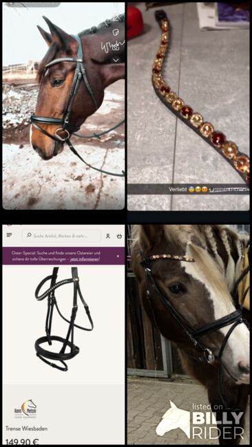 Hans Melzer Trense XFull, Hans Melzer  Trense Wiesbaden , Vanessa , Bridles & Headstalls, Wassertrüdingen, Image 5