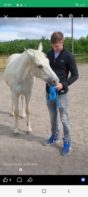 Happy Horse Therapie für Pferde, Wolf Haiber , Riding Lessons, Ilsfeld 
