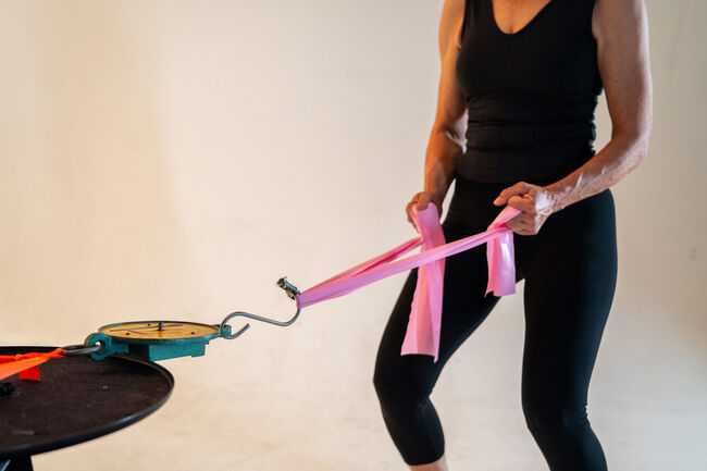 HappyCrown Reiter-Fitness-Set, HappyCrown.de, Kronwitter Petra , Other, Mainbernheim, Image 15