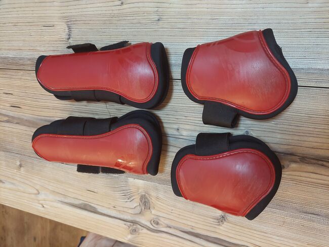 Hartschalengamaschen, Felix Bühler, HKM, Horze, Dana Reitemeyer, Tendon Boots, Haren, Image 2