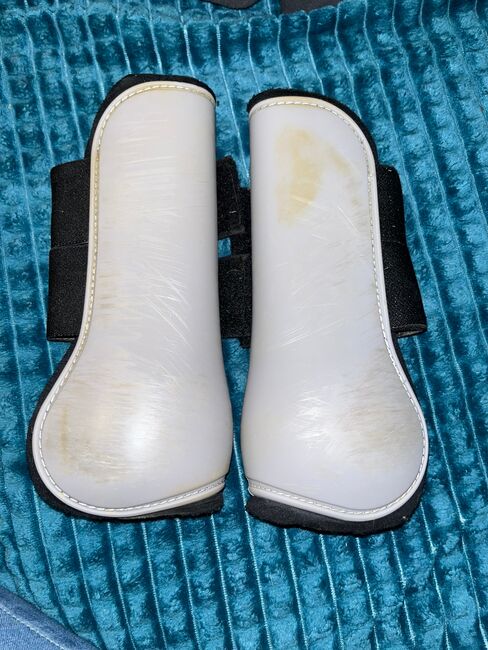 Hartschalengamaschen, Showmaster , Melanie, Tendon Boots, Roth, Image 2