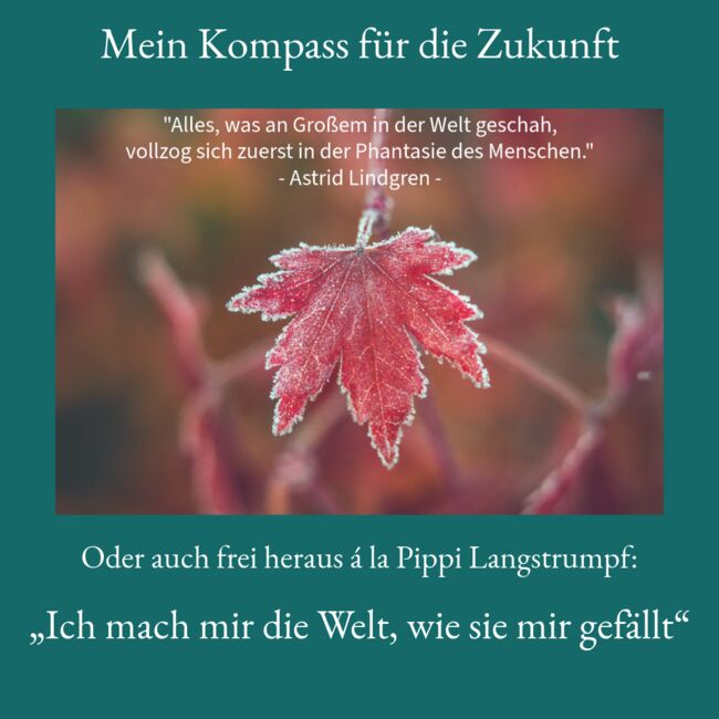 Harmonie für Pferd und Reiter, Sybille Baier (Sunstar-Self-Healing), Therapie & Behandlung, Herzberg am Harz, Abbildung 5