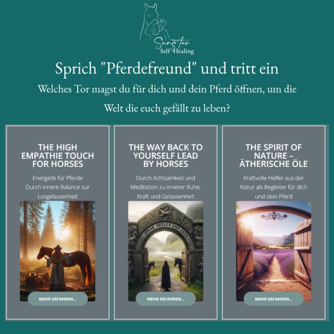 Harmonie für Pferd und Reiter, Sybille Baier (Sunstar-Self-Healing), Therapy & Treatment, Herzberg am Harz, Image 3