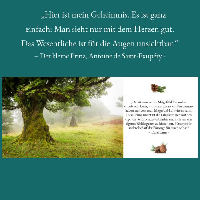 Harmonie für Pferd und Reiter, Sybille Baier (Sunstar-Self-Healing), Therapy & Treatment, Herzberg am Harz, Image 4