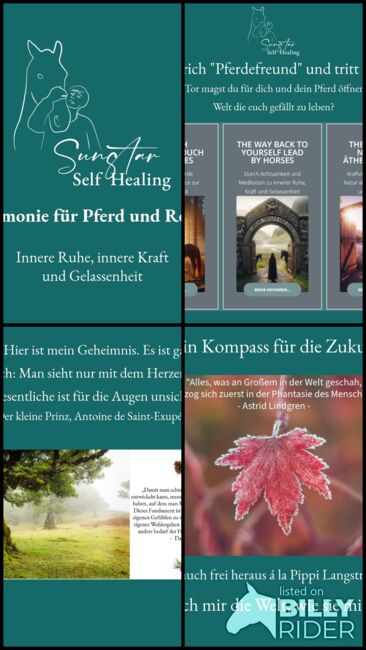 Harmonie für Pferd und Reiter, Sybille Baier (Sunstar-Self-Healing), Therapy & Treatment, Herzberg am Harz, Image 6