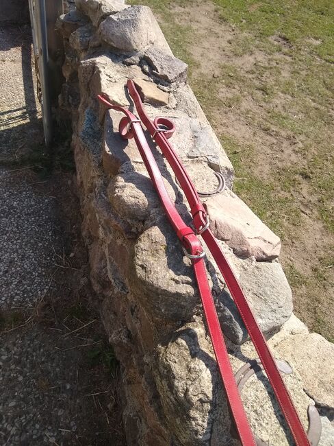 Kutschgeschirr Einspänner, Ursula Kandeler , Horse Harness, Sarkwitz, Image 8