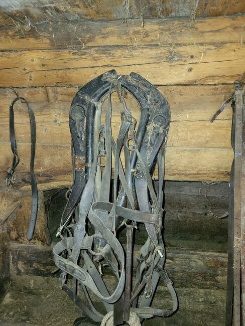 Saumzeug, Zuggeschirr, Sattel und DIversa, Roman, Horse Harness, Degen, Image 4