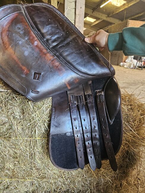 Harry Dabbs dressage saddle, Harry Dabbs, Tara Aitken , Dressage Saddle, Witney, Image 5