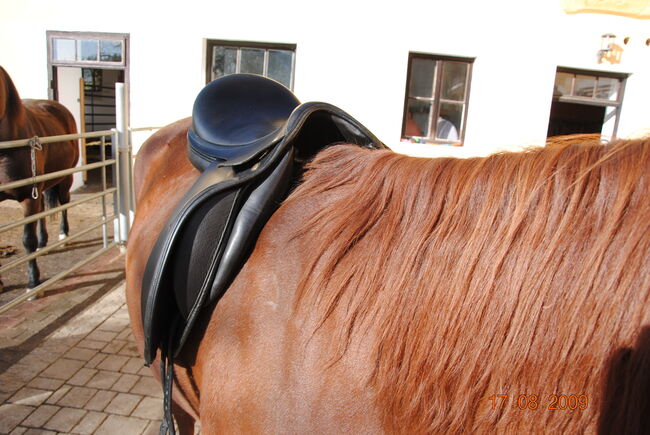 Harry Dabbs Elegant Extra 18,5" XW, Harry Dabbs Elegant Extra, Alexander Becker, Dressage Saddle, St.Stefan, Image 13