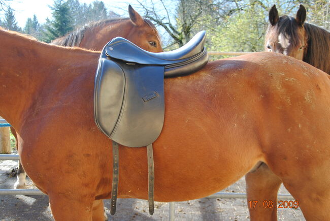 Harry Dabbs Elegant Extra 18,5" XW, Harry Dabbs Elegant Extra, Alexander Becker, Dressage Saddle, St.Stefan, Image 6