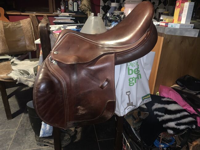 Harry Dabbs Jaguar, Harry Dabbs Jaguar, Jodie Chapman, Jumping Saddle, Monaghan, Image 4