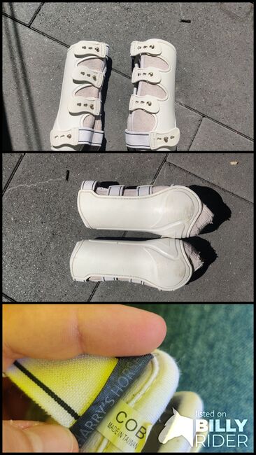 Harry's Horse Grand Prix Gamaschen Weiß, Harry's Horse  Grand Prix, Nina Burkhardt , Tendon Boots, Odenthal, Image 4