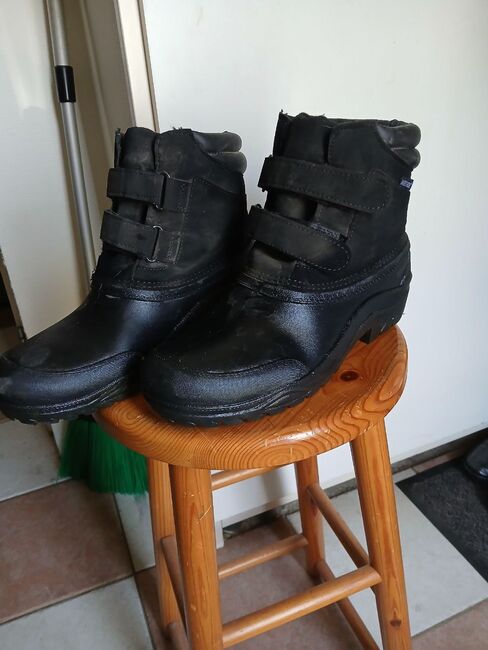 Harry's Horse Stallschuhe Flock, Harry's Horse Flock, Bibi, Reitschuhe & Stallschuhe, Bad Bentheim, Abbildung 5