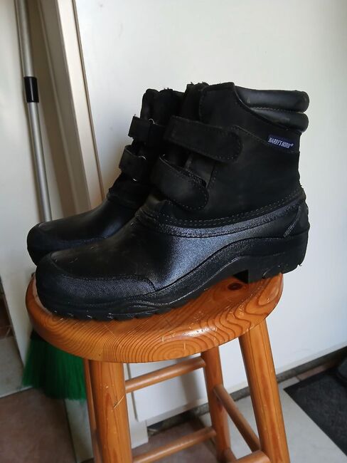 Harry's Horse Stallschuhe Flock, Harry's Horse Flock, Bibi, Riding Shoes & Paddock Boots, Bad Bentheim