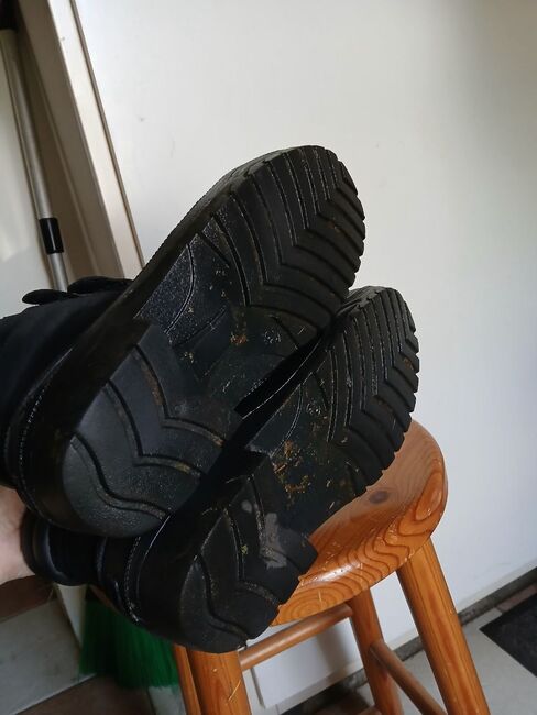 Harry's Horse Stallschuhe Flock, Harry's Horse Flock, Bibi, Riding Shoes & Paddock Boots, Bad Bentheim, Image 4