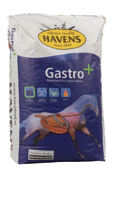 Havens Gastro plus, Havens, Maren , Pferdefutter, Mainz