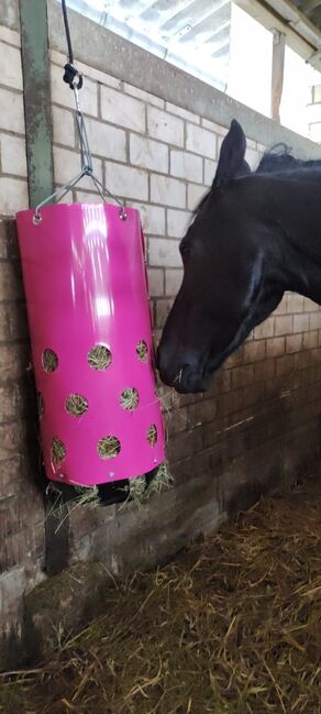 Heu Toy gebraucht, Heutoy Heu Toy original pink , Nadine , Horse Feed & Supplements, Rommerskirchen