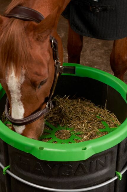 Haygain Forager - Slow Feeder (neu) - Direkt ab Lager!, Haygain Forager, Horsefriend Products - Pferdeboxen und Zaun (Horsefriend Products - Pferdeboxen, Zaun und Stalleinrichtungen), Hay & Straw, Steinfurt, Image 6