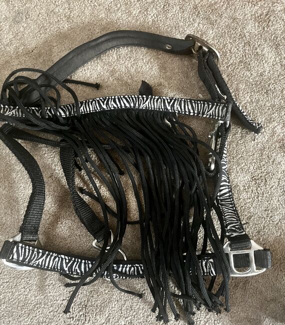 Head collar and lead rope, Charlie, Kantary, Caerphilly