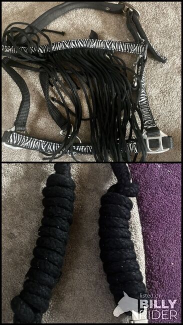 Head collar and lead rope, Charlie, Kantary, Caerphilly, Image 3