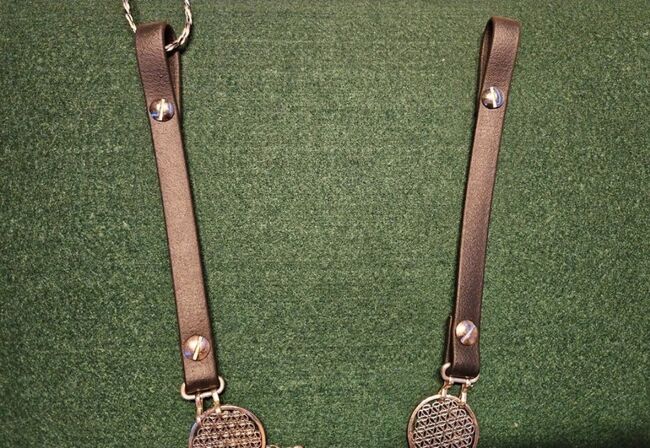 Kopfschmuck/Stirnriemen WB, DIY Kopfschmuck, Kirsten Reiser, Browbands, Weil der Stadt, Image 3