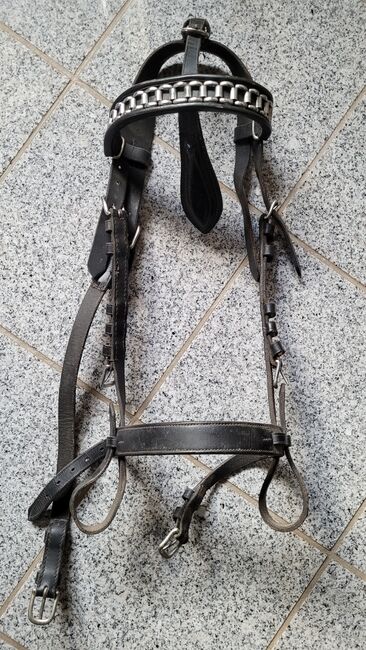 Kopfstück Fahrtrense gr WB, Kopfstück , Denise, Bridles & Headstalls, Niedergebra