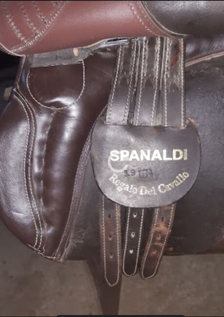 Schweres WB/ leichtes Kaltblut sattel, Spanaldi, Andrea, All Purpose Saddle, Odenthal, Image 7