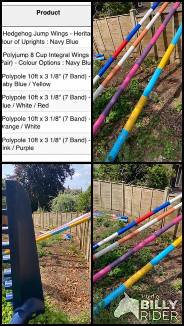 heitage jumps and 8 practice poles, Heritage, Steff, Riding Arena, Yeovil, Image 9