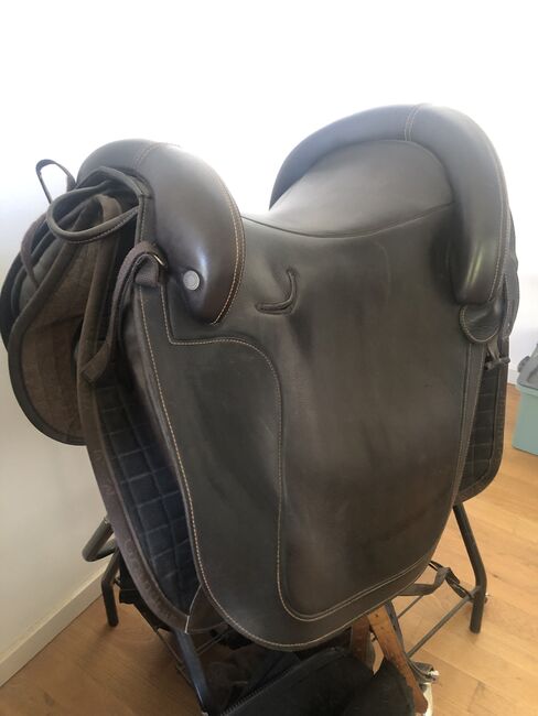 Totaler Hingucker-Sattel von der Firma MySattel, MySattel Jerez Barock, Michaela Faber, Baroque Saddle, Wandlitz