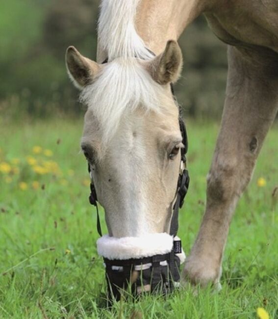 Voll gepolsterte Fressbremse, shires Exclisiv, Alexandra Haberland, Halters, Barenburg