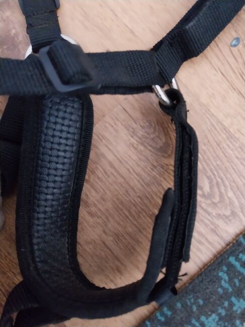 Voll gepolsterte Fressbremse, shires Exclisiv, Alexandra Haberland, Halters, Barenburg, Image 3