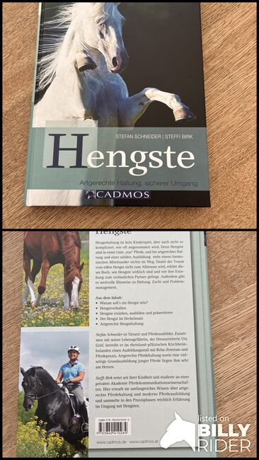 Hengste Schneider/Birk, Cadmos, Ariane Hansen, Bücher, Nahrendorf, Abbildung 3