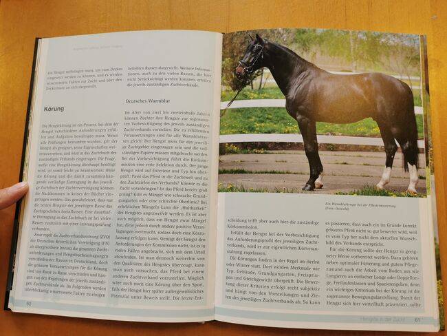 Hengste – Artgerechte Haltung, sicherer Umgang, cadmos verlag  Stefan Schneider, Mandy, Books, Camburg, Image 4