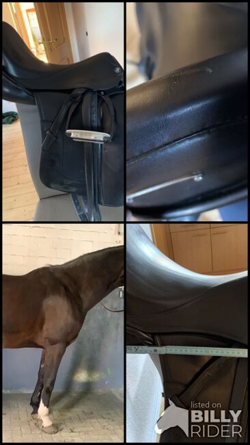 Hennig Dressursattel, Hennig Maßsattel , Carolin Lüpke, Dressage Saddle, Wietzendorf, Image 16