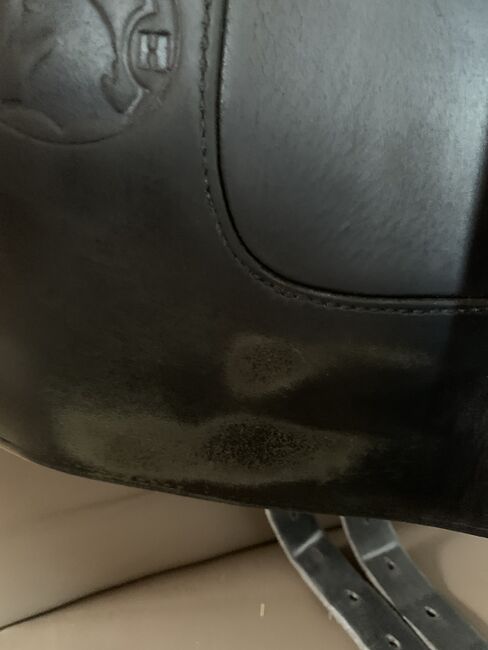 Hennig Dressursattel, Hennig Maßsattel , Carolin Lüpke, Dressage Saddle, Wietzendorf, Image 9