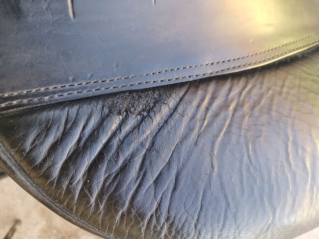 Hennig Dressursattel, Hennig, Xandi, Dressage Saddle, Hollabrunn, Image 7