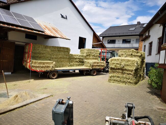 Heu Hochdruckballen Rundballen Stroh, Familie Schneider Hochdruck/Rundballen , Qualitätsheu Schneider, Heu & Stroh, Wetter, Abbildung 3